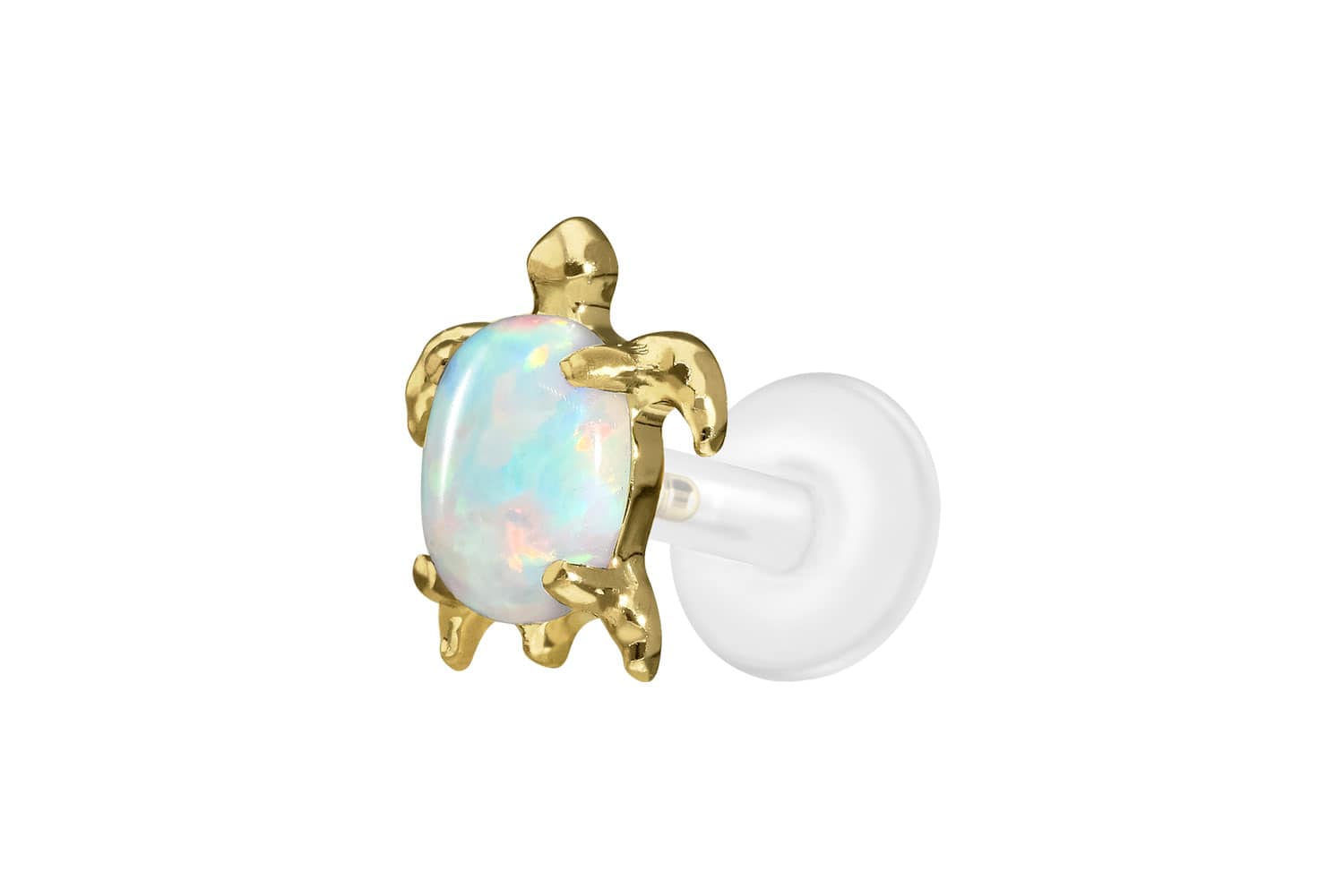 PTFE Labret Piercing mit Innengewinde + Titan-Aufsatz SCHILDKRÖTE